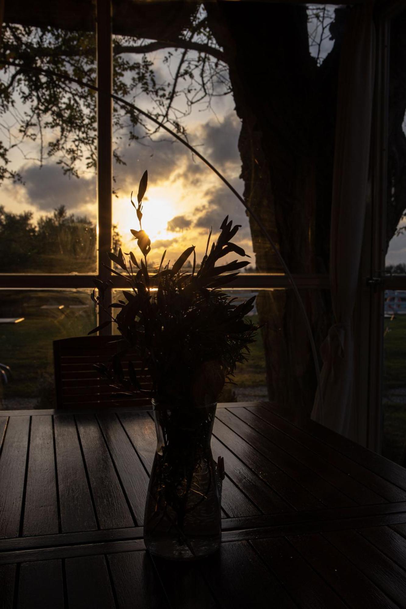Agriturismo Podere L'Agave ซานวินเชนโซ ภายนอก รูปภาพ
