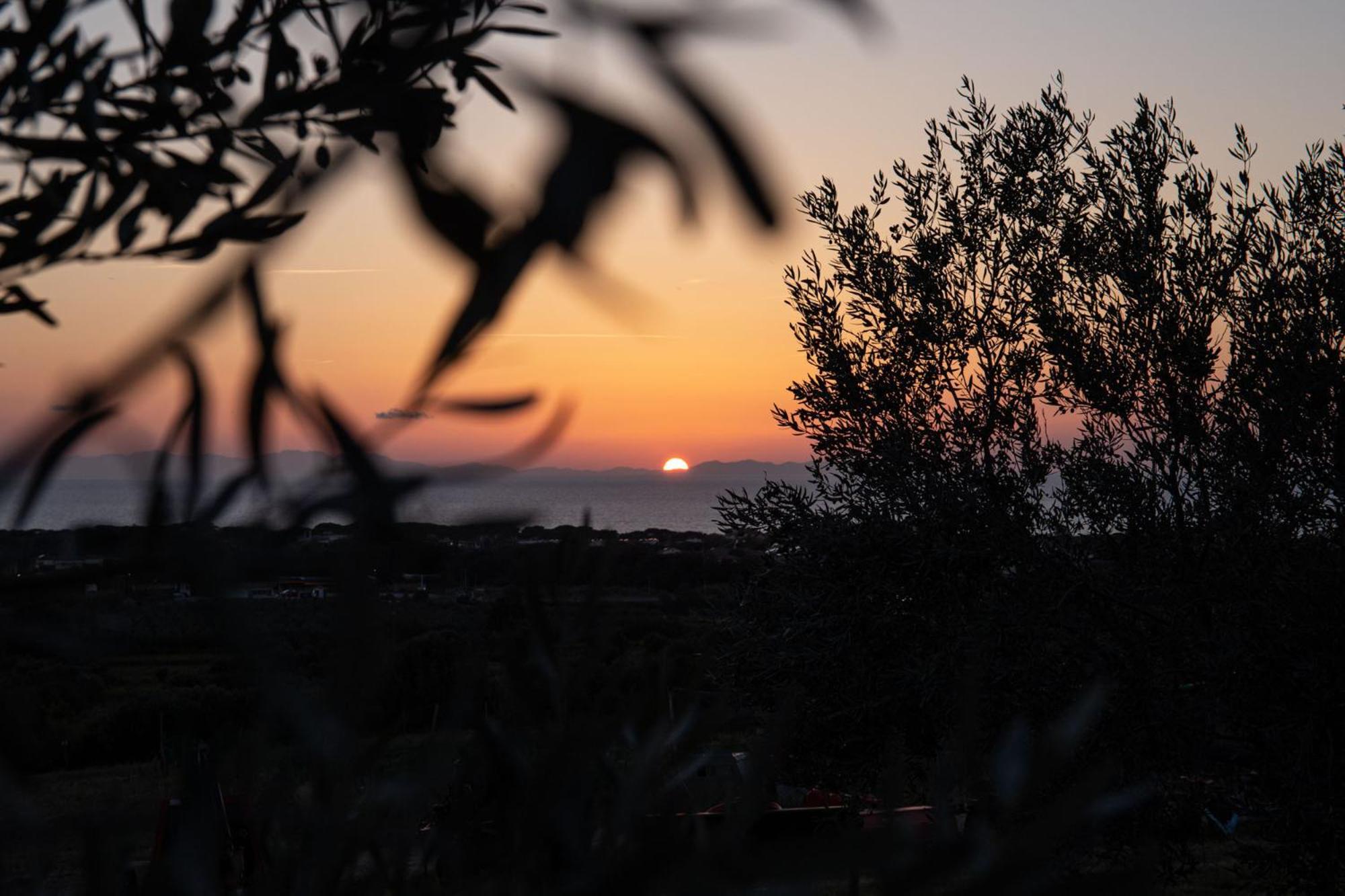 Agriturismo Podere L'Agave ซานวินเชนโซ ภายนอก รูปภาพ