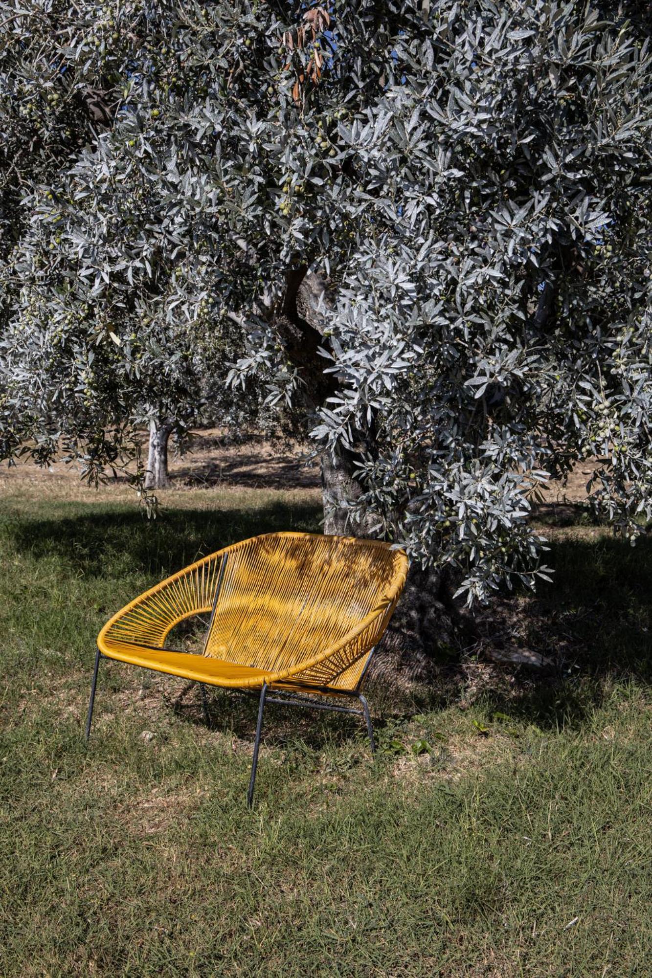 Agriturismo Podere L'Agave ซานวินเชนโซ ภายนอก รูปภาพ
