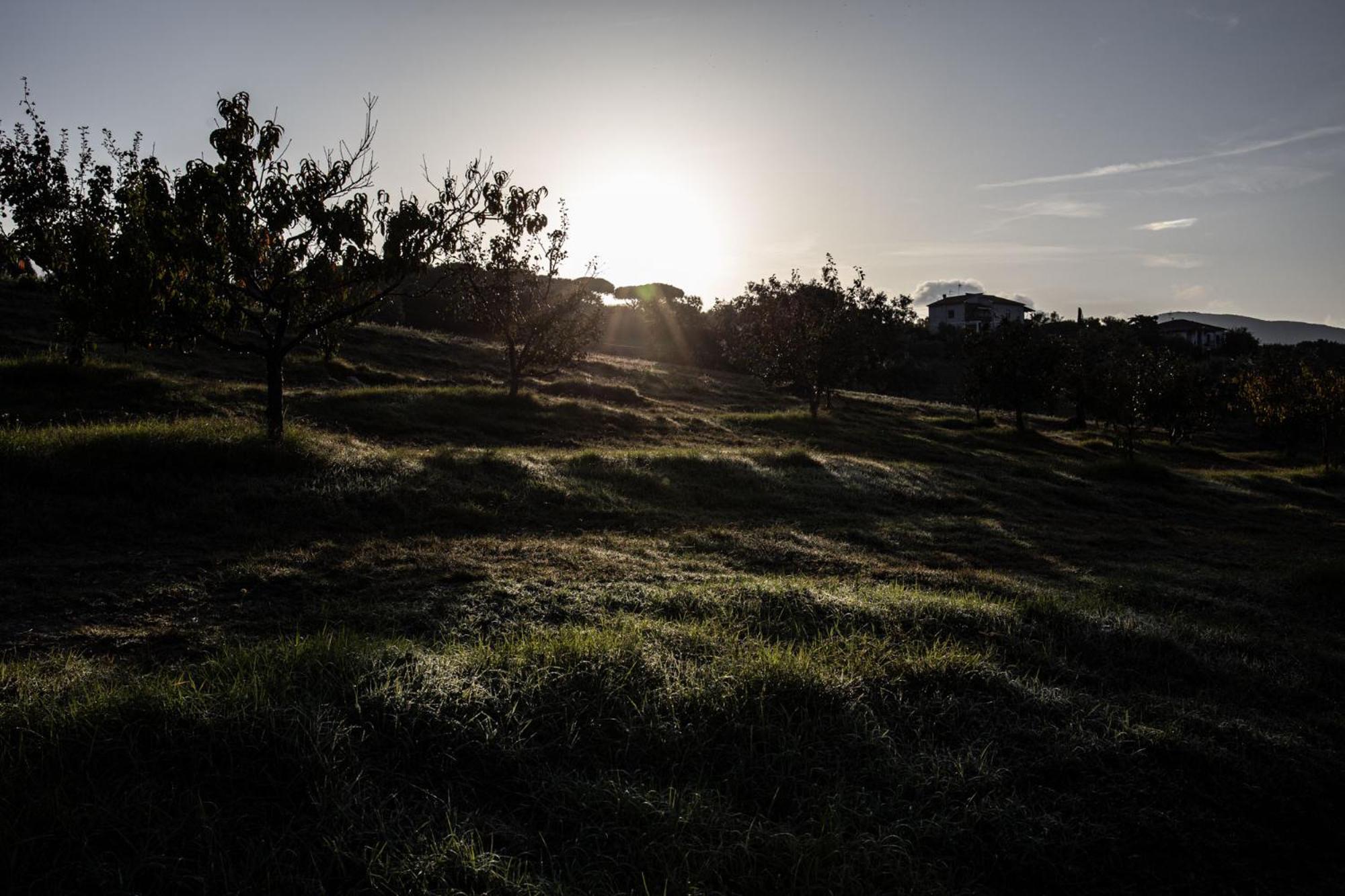 Agriturismo Podere L'Agave ซานวินเชนโซ ภายนอก รูปภาพ