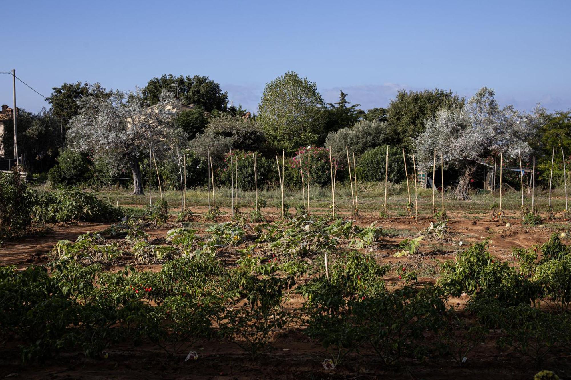 Agriturismo Podere L'Agave ซานวินเชนโซ ภายนอก รูปภาพ