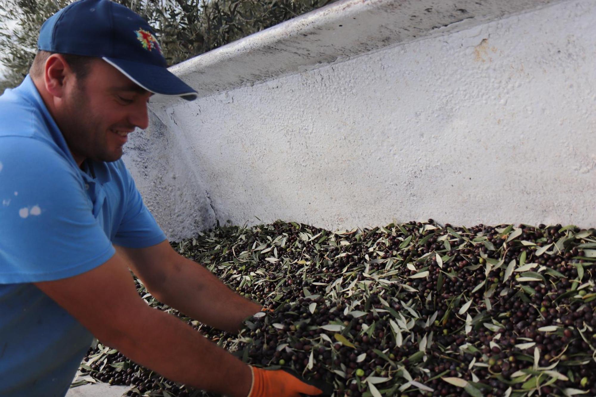 Agriturismo Podere L'Agave ซานวินเชนโซ ภายนอก รูปภาพ