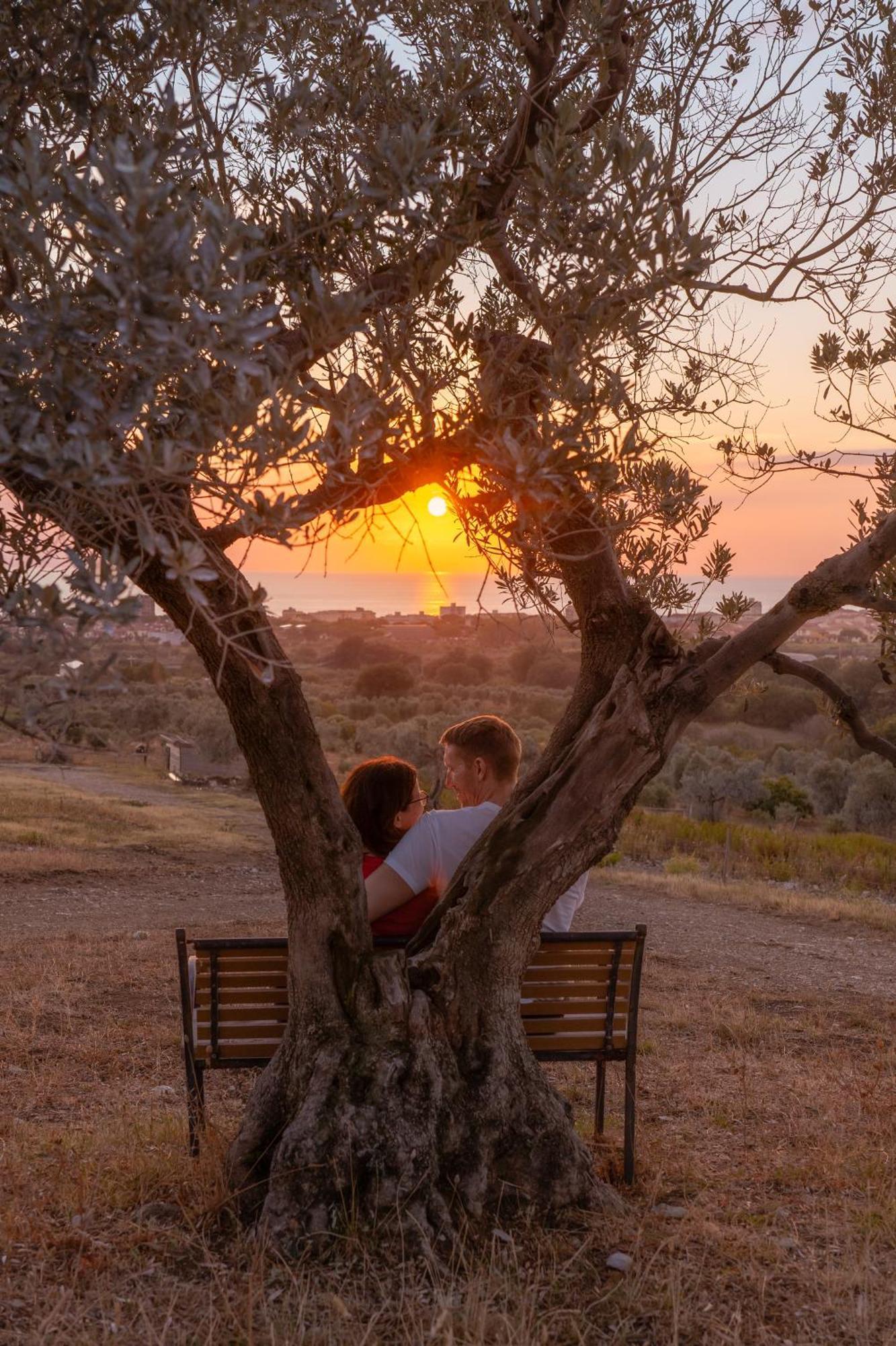 Agriturismo Podere L'Agave ซานวินเชนโซ ภายนอก รูปภาพ