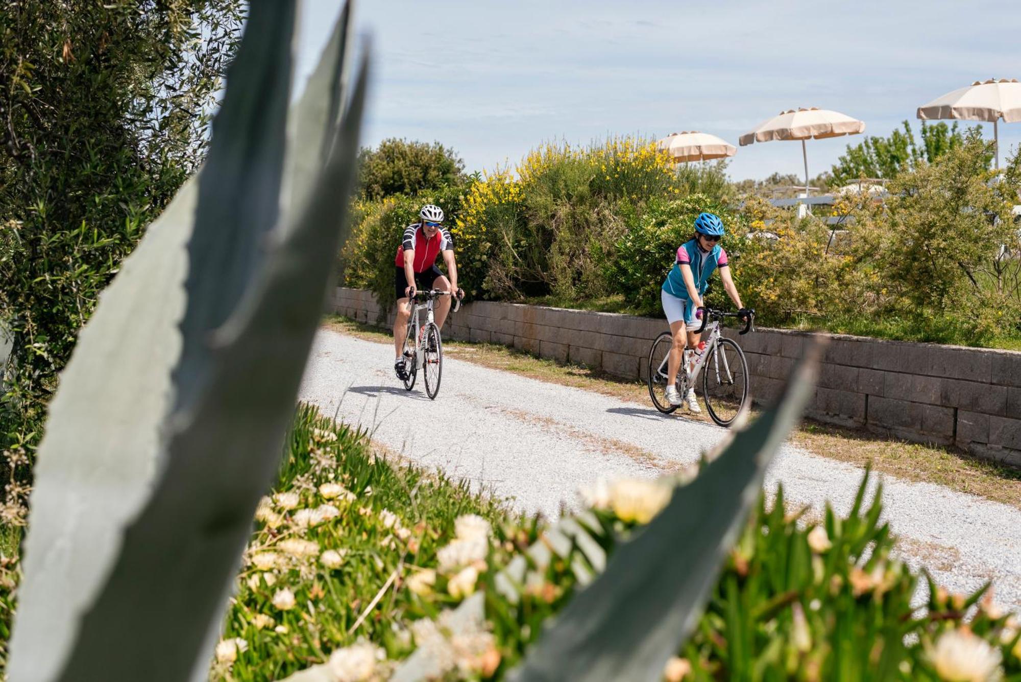 Agriturismo Podere L'Agave ซานวินเชนโซ ภายนอก รูปภาพ