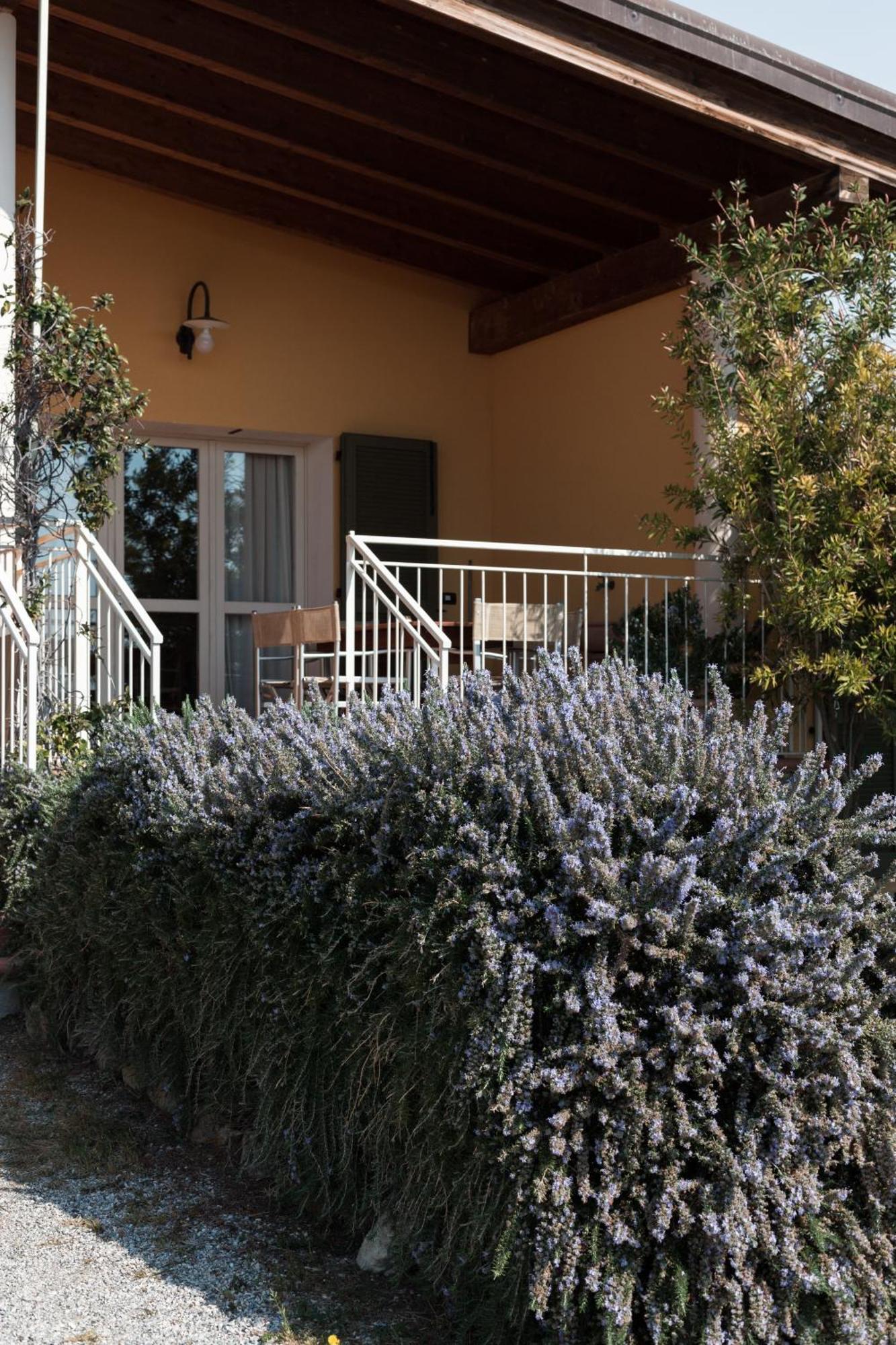 Agriturismo Podere L'Agave ซานวินเชนโซ ภายนอก รูปภาพ